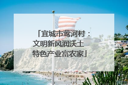 宜城市莺河村：文明新风润沃土 特色产业富农家