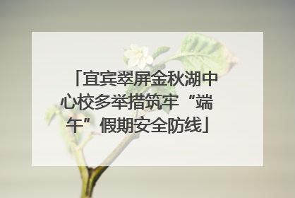 宜宾翠屏金秋湖中心校多举措筑牢“端午”假期安全防线