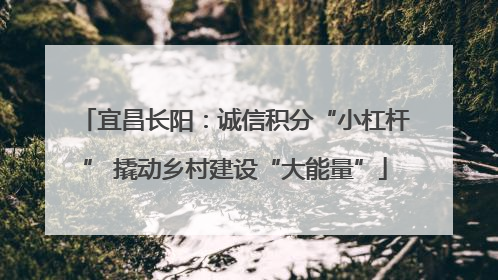 宜昌长阳：诚信积分“小杠杆” 撬动乡村建设“大能量”