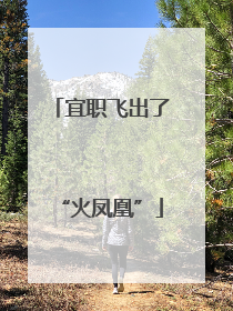 宜职飞出了“火凤凰”