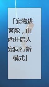 宠物进客舱，山西开启人宠同行新模式