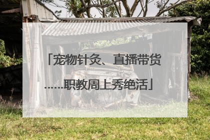 宠物针灸、直播带货……职教周上秀绝活