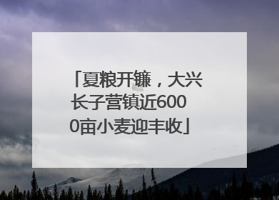 夏粮开镰，大兴长子营镇近6000亩小麦迎丰收