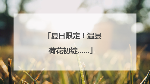 夏日限定！温县荷花初绽……