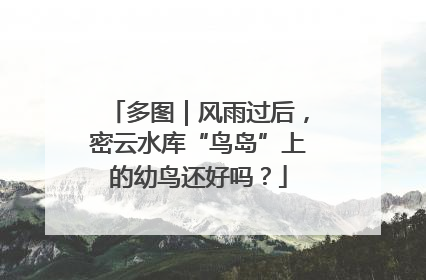 多图｜风雨过后，密云水库“鸟岛”上的幼鸟还好吗？