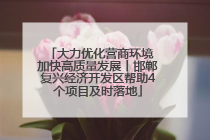 大力优化营商环境 加快高质量发展丨邯郸复兴经济开发区帮助4个项目及时落地