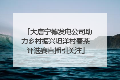 大唐宁德发电公司助力乡村振兴坦洋村春茶评选赛直播引关注