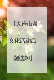 大连市茶文化活动高潮迭起