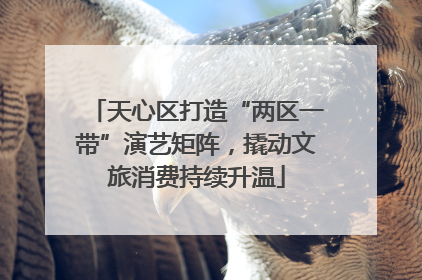 天心区打造“两区一带”演艺矩阵，撬动文旅消费持续升温