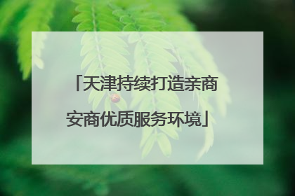 天津持续打造亲商安商优质服务环境