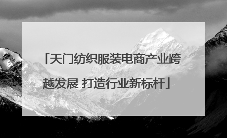 天门纺织服装电商产业跨越发展 打造行业新标杆
