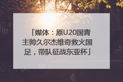 媒体：原U20国青主帅久尔杰维奇救火国足，带队征战东亚杯