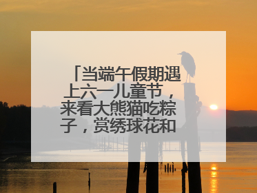当端午假期遇上六一儿童节，来看大熊猫吃粽子，赏绣球花和马鞭草花海