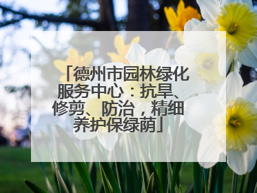 德州市园林绿化服务中心：抗旱、修剪、防治，精细养护保绿荫