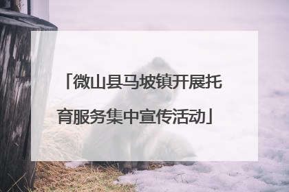 微山县马坡镇开展托育服务集中宣传活动