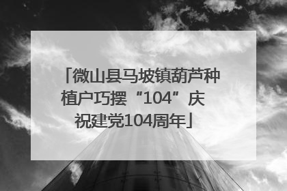 微山县马坡镇葫芦种植户巧摆“104”庆祝建党104周年