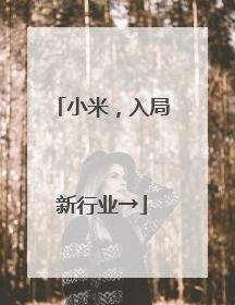 小米，入局新行业→