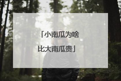 小南瓜为啥比大南瓜贵