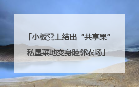 小板凳上结出“共享果” 私垦菜地变身睦邻农场