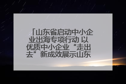 山东省启动中小企业出海专项行动 以优质中小企业“走出去”新成效展示山东产业发展新形象