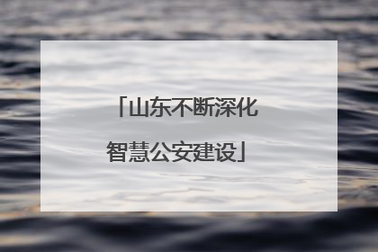 山东不断深化智慧公安建设