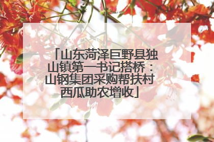 山东菏泽巨野县独山镇第一书记搭桥：山钢集团采购帮扶村西瓜助农增收
