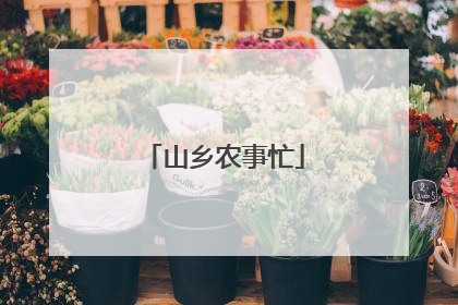 山乡农事忙