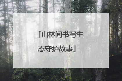 山林间书写生态守护故事