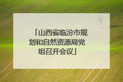 山西省临汾市规划和自然资源局党组召开会议