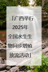 广西举行2025年全国水生生物同步增殖放流活动