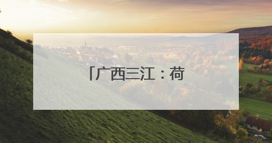 广西三江：荷花伴侗歌 农文旅融合引客来