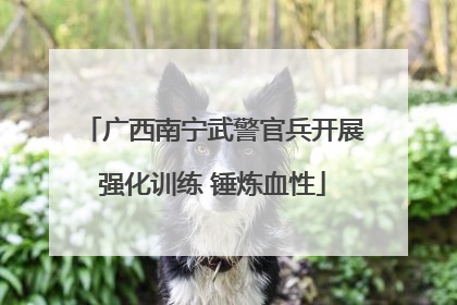 广西南宁武警官兵开展强化训练 锤炼血性