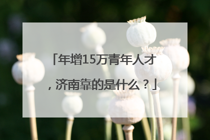 年增15万青年人才，济南靠的是什么？