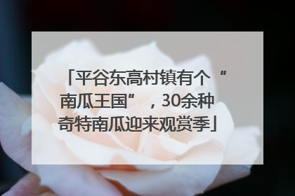 平谷东高村镇有个“南瓜王国”，30余种奇特南瓜迎来观赏季