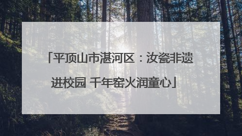 平顶山市湛河区：汝瓷非遗进校园 千年窑火润童心