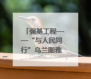 强基工程——“与人民同行”乌兰图雅随中国文联走进拉萨 庆祝西藏自治区成立60周年