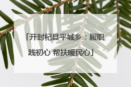 开封杞县平城乡：履职践初心 帮扶暖民心