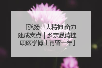 弘扬三大精神 奋力建成支点｜乡亲恳请挂职医学博士再留一年