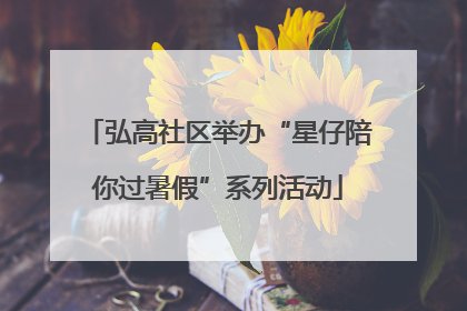 弘高社区举办“星仔陪你过暑假”系列活动