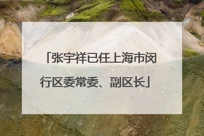 张宇祥已任上海市闵行区委常委、副区长