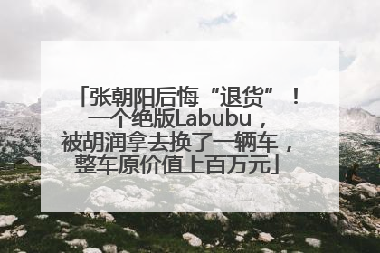 张朝阳后悔“退货”！一个绝版Labubu，被胡润拿去换了一辆车，整车原价值上百万元