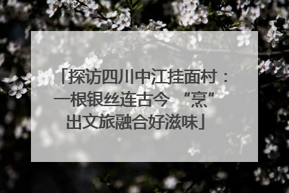 探访四川中江挂面村：一根银丝连古今 “烹”出文旅融合好滋味
