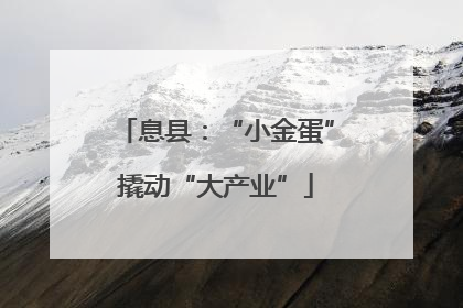 息县：“小金蛋”撬动“大产业”