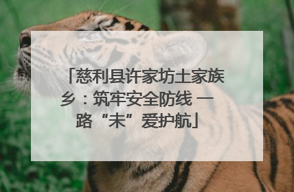 慈利县许家坊土家族乡：筑牢安全防线 一路“未”爱护航