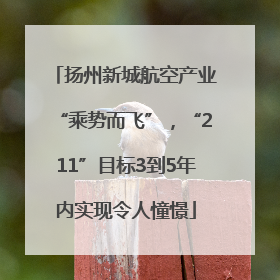 扬州新城航空产业“乘势而飞”，“211”目标3到5年内实现令人憧憬