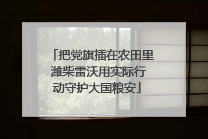 把党旗插在农田里 潍柴雷沃用实际行动守护大国粮安