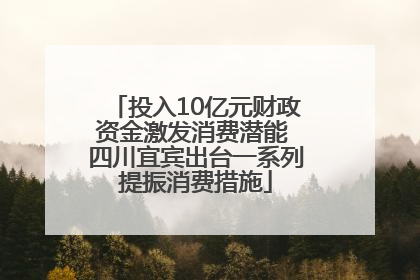 投入10亿元财政资金激发消费潜能 四川宜宾出台一系列提振消费措施