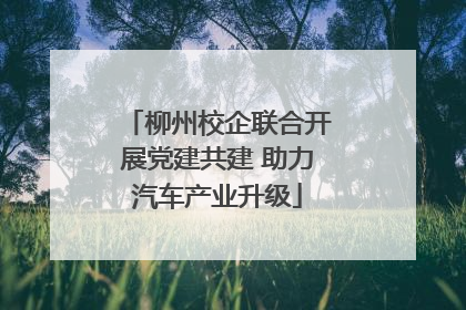 柳州校企联合开展党建共建 助力汽车产业升级