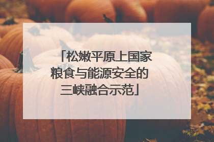松嫩平原上国家粮食与能源安全的三峡融合示范