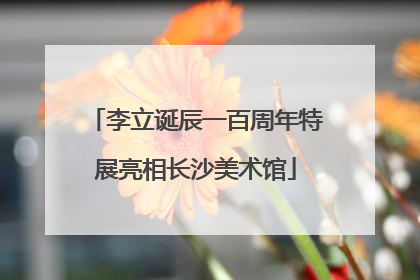 李立诞辰一百周年特展亮相长沙美术馆